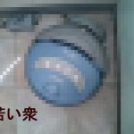 命名　若い衆！