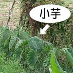 似ている・・・(*_*;