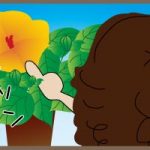 うっかりハイビスカス