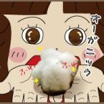 コットンボール