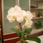 やりました！(^^)v