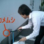 カメムシとの戦い