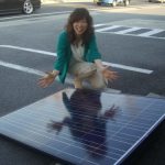 太陽光パネル