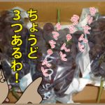 武士は食わねど・・・