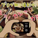 静岡に行ってきました④