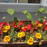 忘れてたネタ②