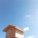 木のおはなし🌳　第２回