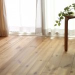 木のおはなし🌳　第３回