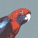 異種コラボ、再び！！