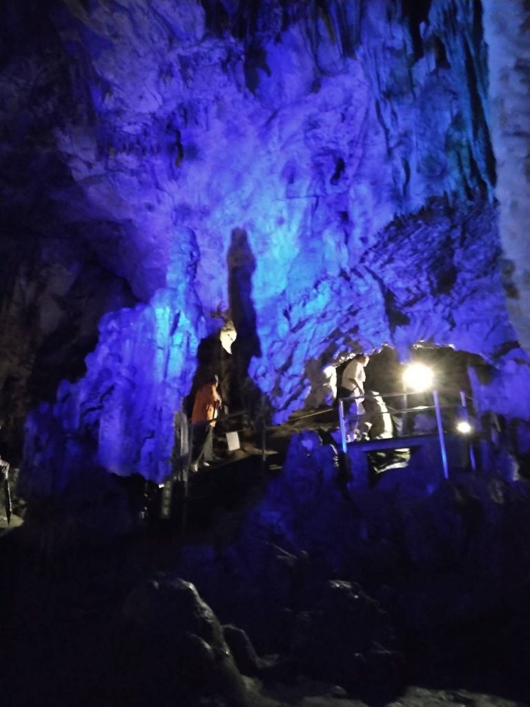 夏休みの思い出2024⛱