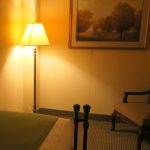 🌟照明器具の種類　part4🌟