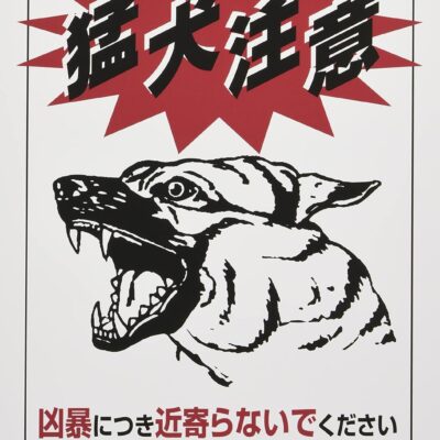 ブログ担当に引っ越してきました