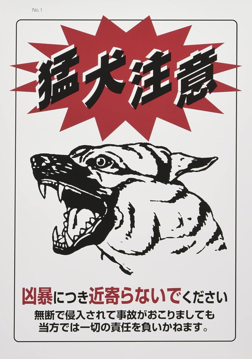 ブログ担当に引っ越してきました