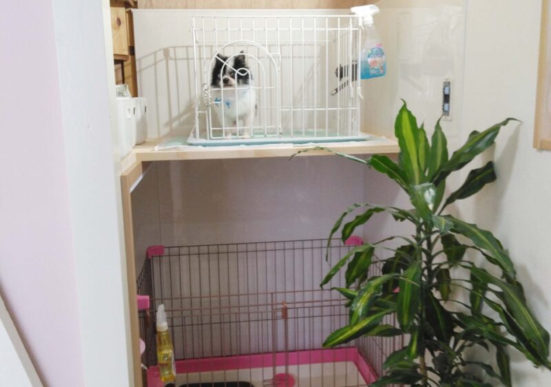 意外な場所を上手に活用🐾