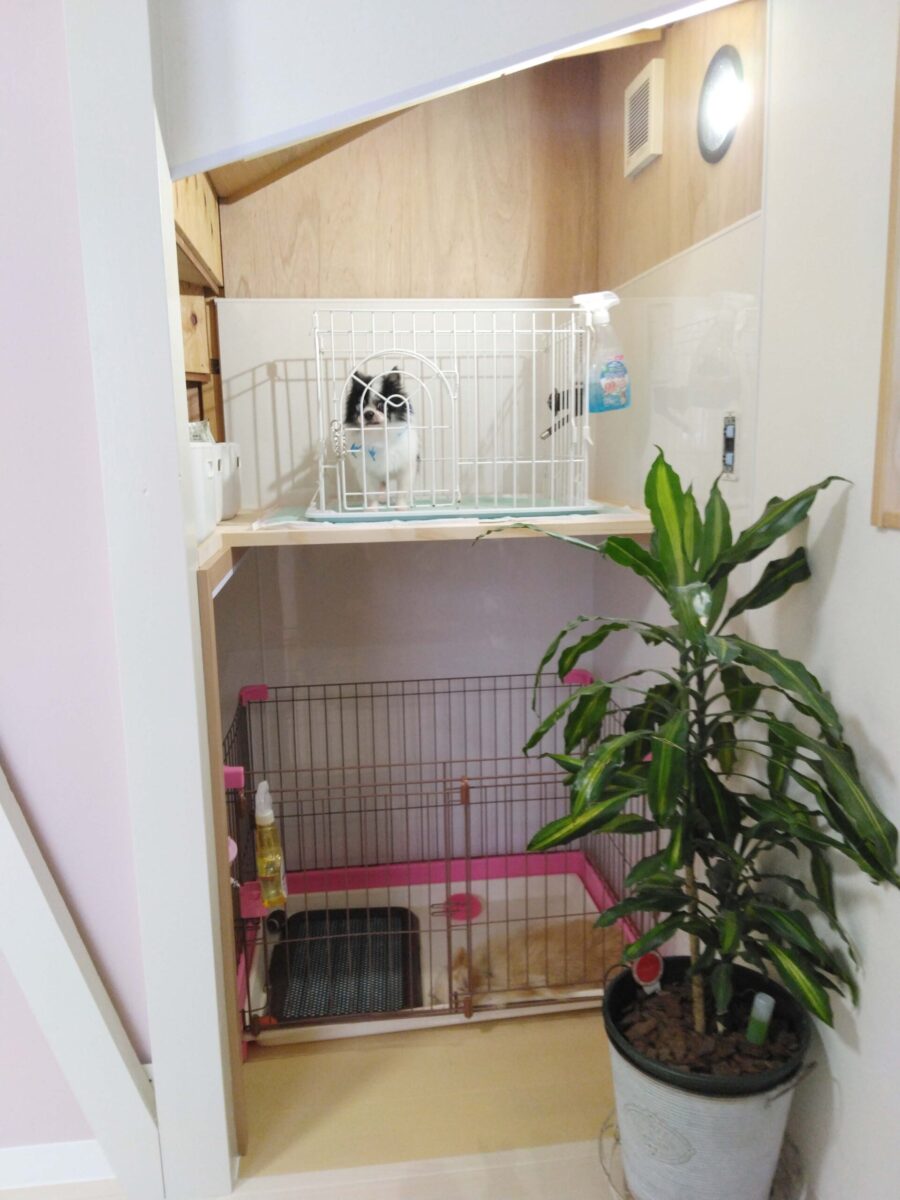 意外な場所を上手に活用🐾