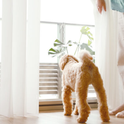 ブラインドの進化✨