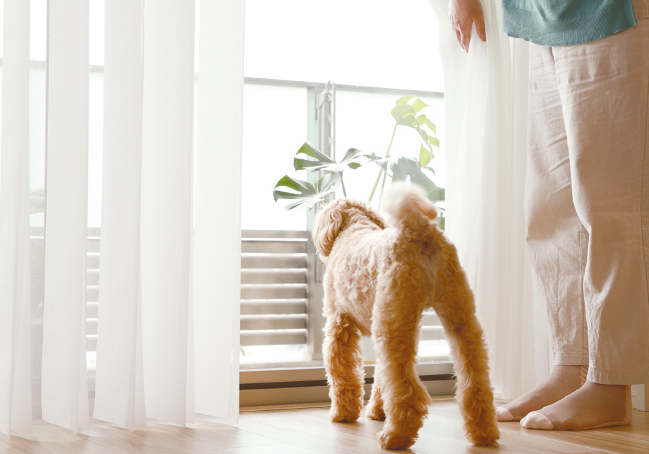 ブラインドの進化✨